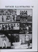 Tecumseh High School 1987 yearbook cover photo