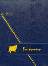1971 Breckenridge High School Yearbook from Breckenridge, Michigan cover image