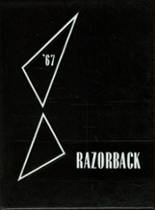 1967 Stanford High School Yearbook from Stanford, Arkansas cover image