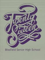 Blissfield High School 2016 yearbook cover photo