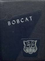1955 Somonauk High School Yearbook from Somonauk, Illinois cover image