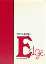 Edgewater High School 1989 yearbook cover photo