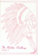 1987 Caldwell High School Yearbook from Caldwell, Ohio cover image