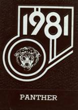 Tripoli High School 1981 yearbook cover photo