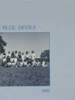 Ringling High School 1982 yearbook cover photo