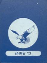 Plainview High School 1973 yearbook cover photo