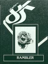 Roseau High School 1985 yearbook cover photo