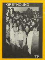 1979 Salem High School Yearbook from Salem, Arkansas cover image