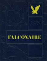Falconer High School 1986 yearbook cover photo