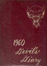 Lakeview High School 1960 yearbook cover photo