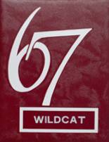 Brunswick High School 1967 yearbook cover photo