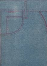 1975 Irwin County High School Yearbook from Ocilla, Georgia cover image