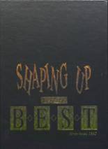 1995 Mt. Pleasant High School Yearbook from Mt. pleasant, Texas cover image