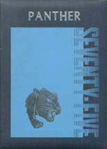 1975 Pittsfield High School Yearbook from Pittsfield, New Hampshire cover image