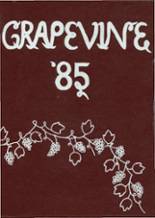 1985 Rippowam Cisqua School Yearbook from Bedford, New York cover image