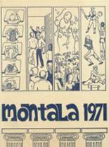 Montevallo High School 1971 yearbook cover photo