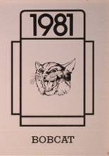 1981 Balta High School Yearbook from Balta, North Dakota cover image