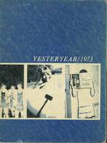 Bismarck High School 1973 yearbook cover photo