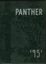 Park Rapids High School 1951 yearbook cover photo