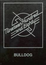 Brady High School 1980 yearbook cover photo