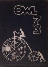 1973 Lynbrook High School Yearbook from Lynbrook, New York cover image