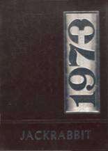 1973 Bowie High School Yearbook from Bowie, Texas cover image