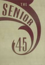 Ottawa Township High School 1945 yearbook cover photo