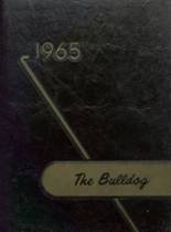 1965 Linden High School Yearbook from Linden, Indiana cover image
