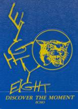 Wright City High School 1988 yearbook cover photo