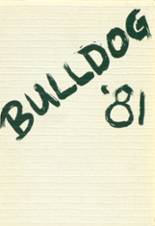 Marion High School 1981 yearbook cover photo