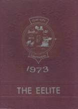 1973 Clay City High School Yearbook from Clay city, Indiana cover image