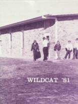Wister High School 1981 yearbook cover photo