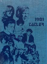 Alton High School 1981 yearbook cover photo