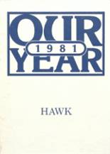 1981 Plainview High School Yearbook from Sheridan, Colorado cover image