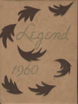 1960 Stevenson High School Yearbook from Stevenson, Washington cover image