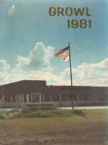 Desoto County High School 1981 yearbook cover photo