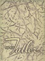1945 Rochelle Township High School Yearbook from Rochelle, Illinois cover image