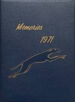 1971 Flemington High School Yearbook from Flemington, West Virginia cover image