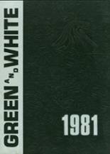 1981 Easley High School Yearbook from Easley, South Carolina cover image