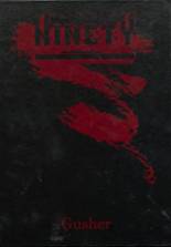1990 Drumright High School Yearbook from Drumright, Oklahoma cover image