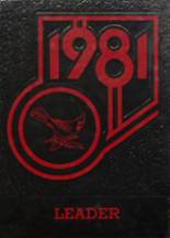 1981 Brookside High School Yearbook from Sheffield, Ohio cover image