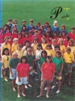 Hastings High School 1988 yearbook cover photo