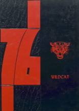 Hector High School 1976 yearbook cover photo