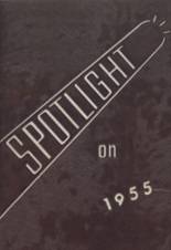 1955 Dryden High School Yearbook from Dryden, New York cover image