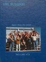 Bald Knob High School 1981 yearbook cover photo