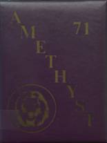 1971 Dryden High School Yearbook from Dryden, New York cover image