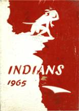 Plainview High School 1965 yearbook cover photo
