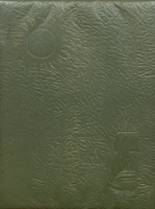 1971 Dundalk High School Yearbook from Baltimore, Maryland cover image