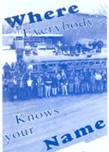1995 Lodgepole High School Yearbook from Lodgepole, Nebraska cover image