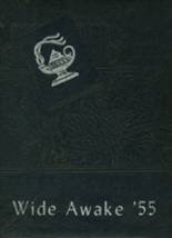 1995 Woodbury High School Yearbook from Woodbury, Connecticut cover image